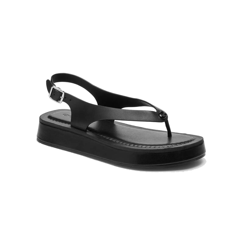 Coach Women's Sculpted C Platform Thong Sandal Black