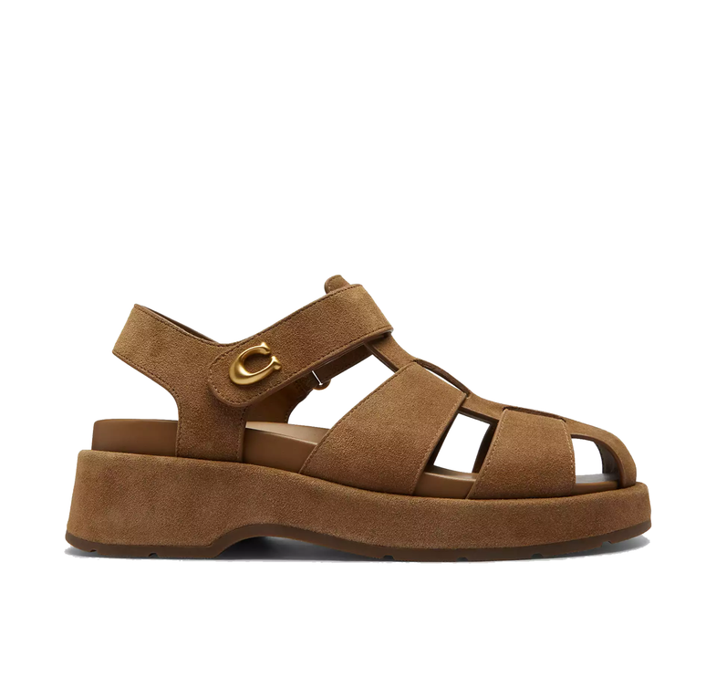 Coach Women's Sculpted C Fisherman Sandal Suede/Coconut