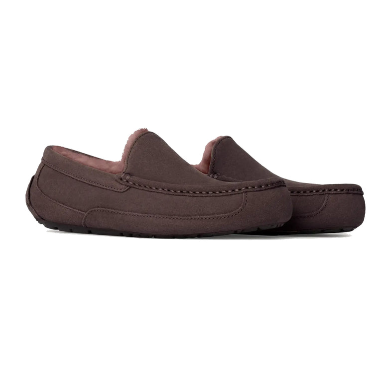 UGG Men's Ascot Dusted Cocoa