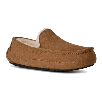 UGG Men's Ascot Chestnut