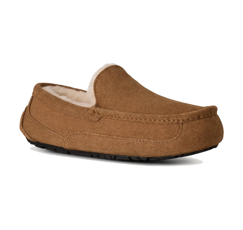 UGG Men's Ascot Chestnut