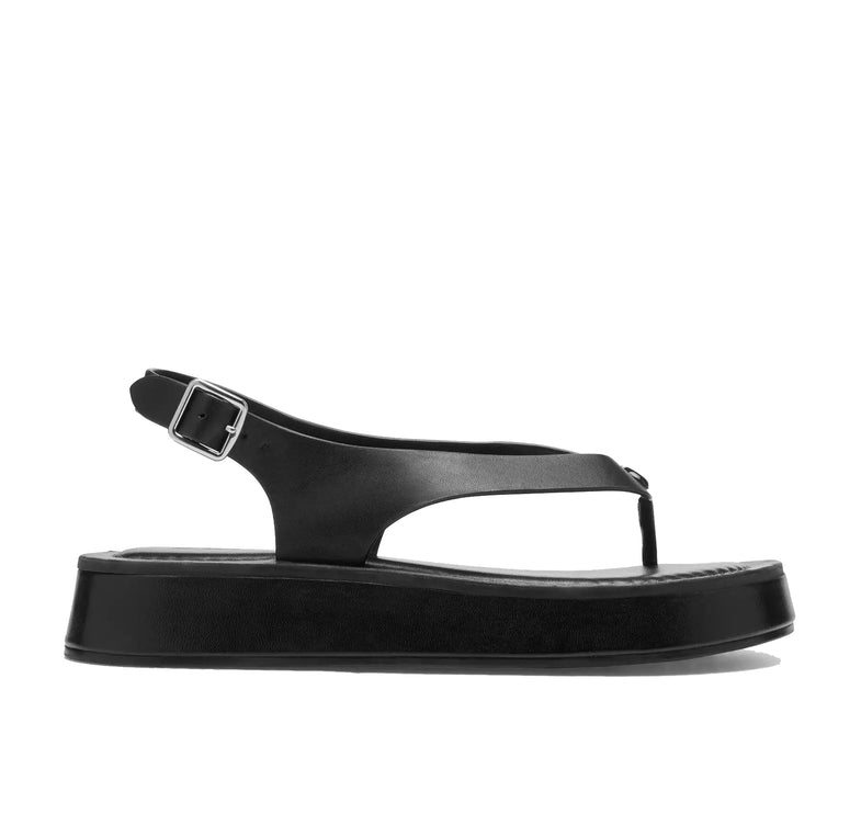 Coach Women's Sculpted C Platform Thong Sandal Black