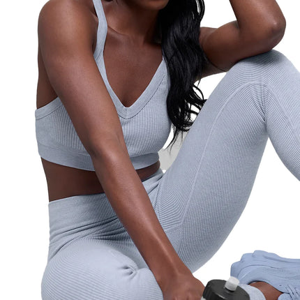 alo Women's Seamless Two Tone Rib Bra Winter Frost Heather